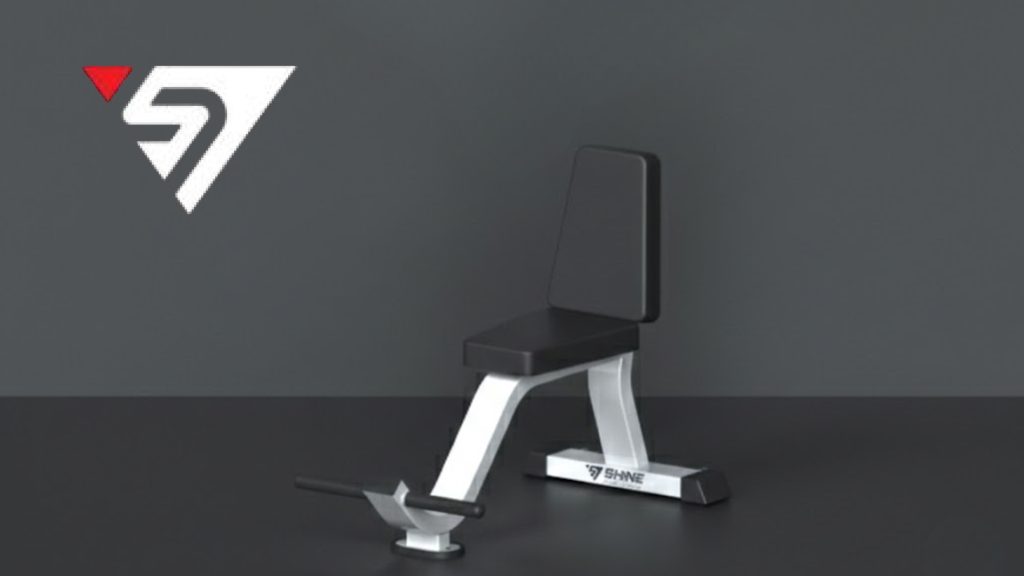 Utility Bench positioned correctly within a free-weight gym zone for safe and efficient training