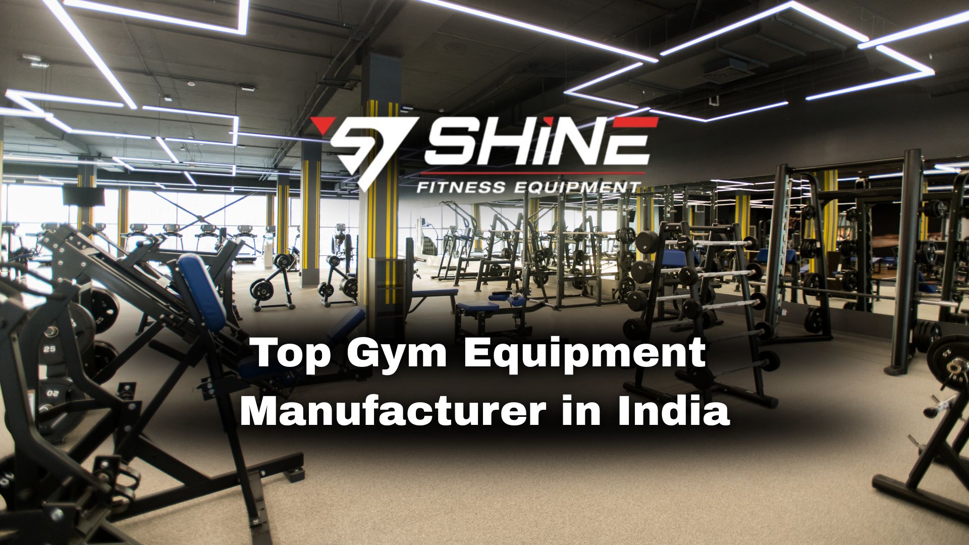 Top Gym Equipment Manufacturer in India: Complete Commercial Machine Guide