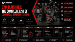 Commercial gym machines and strength training stations for different muscle groups